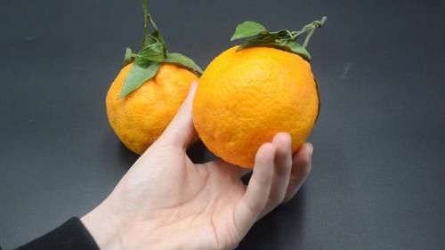 挑选丑橘的小技巧■挑选丑橘时,牢记这4点,保你挑出香甜味美的丑橘,方法太棒了