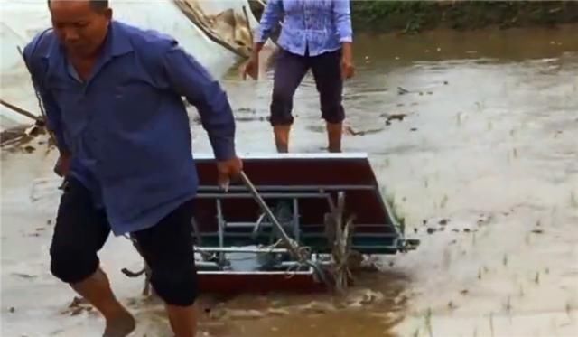  【小伙】中国19岁小伙发明“牛拉式”插秧机,效率是人工8倍,300