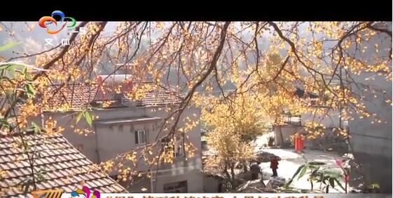 十里红叶醉秋风,大自然的馈赠——清凉寨