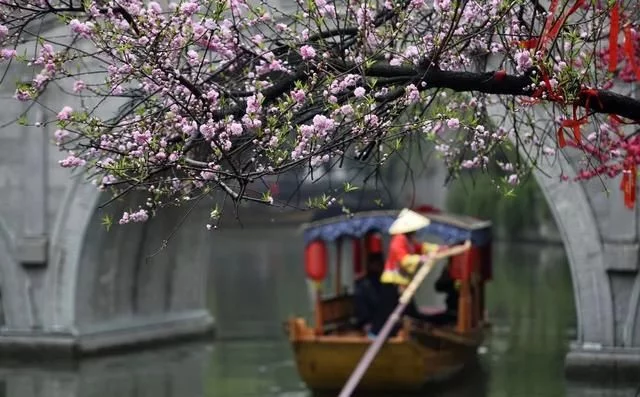 醉美不过台儿庄,小城沐浴在春光,盎然春意让阳光一天天的明媚起来【2020热门旅游景点】