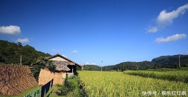  「小伙」现在农村种地大户，到底挣不挣钱，农村小伙精心分析，