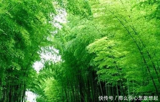 四川地理位置“最佳”城市：可以让你“假装”周游全国