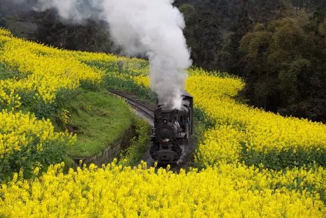 三月，去看中国最美春光