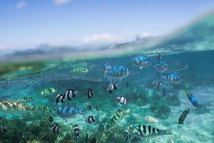 全球唯一没有癌症的国家！跨双时空！比马代便宜，比塞班纯净...