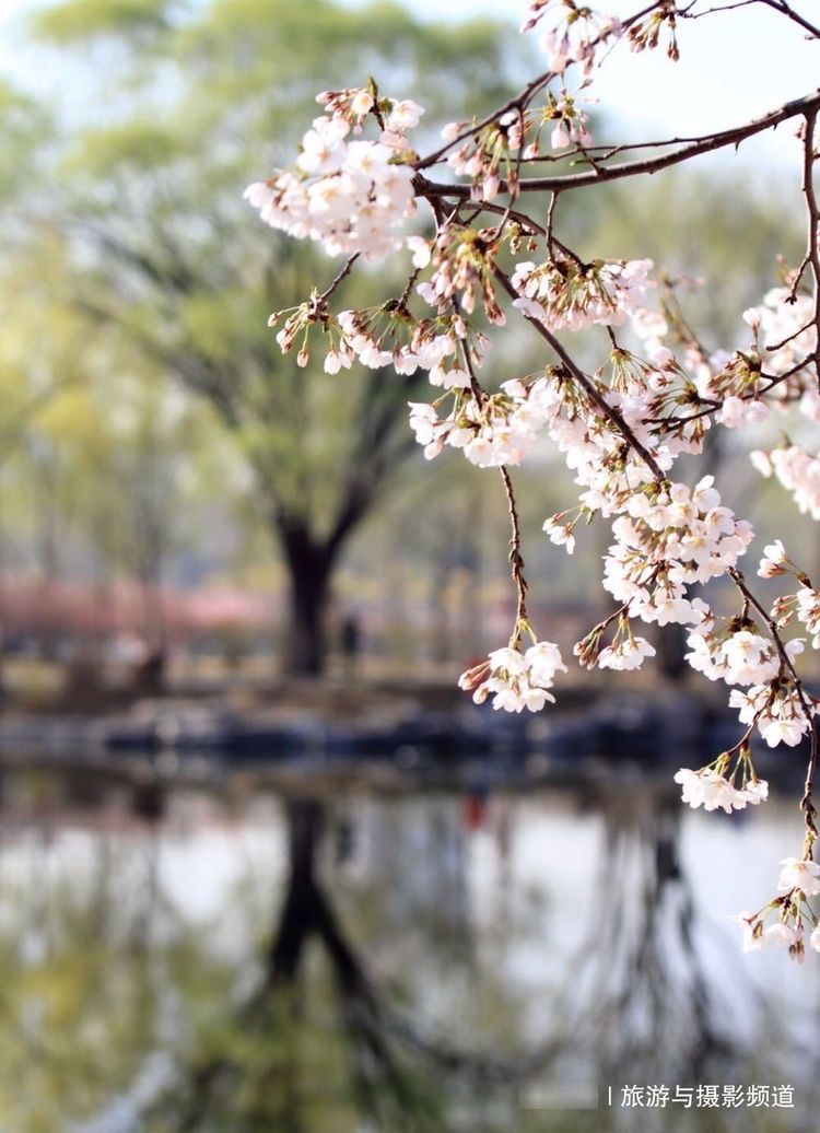  「建筑」疫情之后，一定要去的北京六大景点！第一个去了就赚！