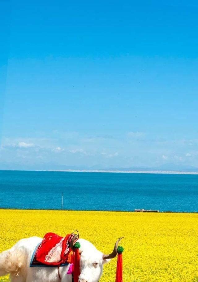 中国最美的50个地方，你去过几个