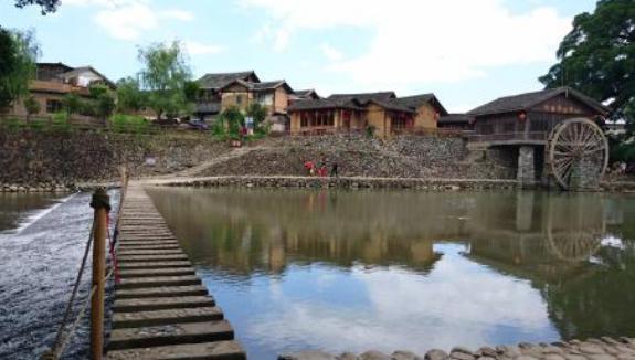 福建因电影闻名的村子，村里一棵“千年古树”，需十人才能围住