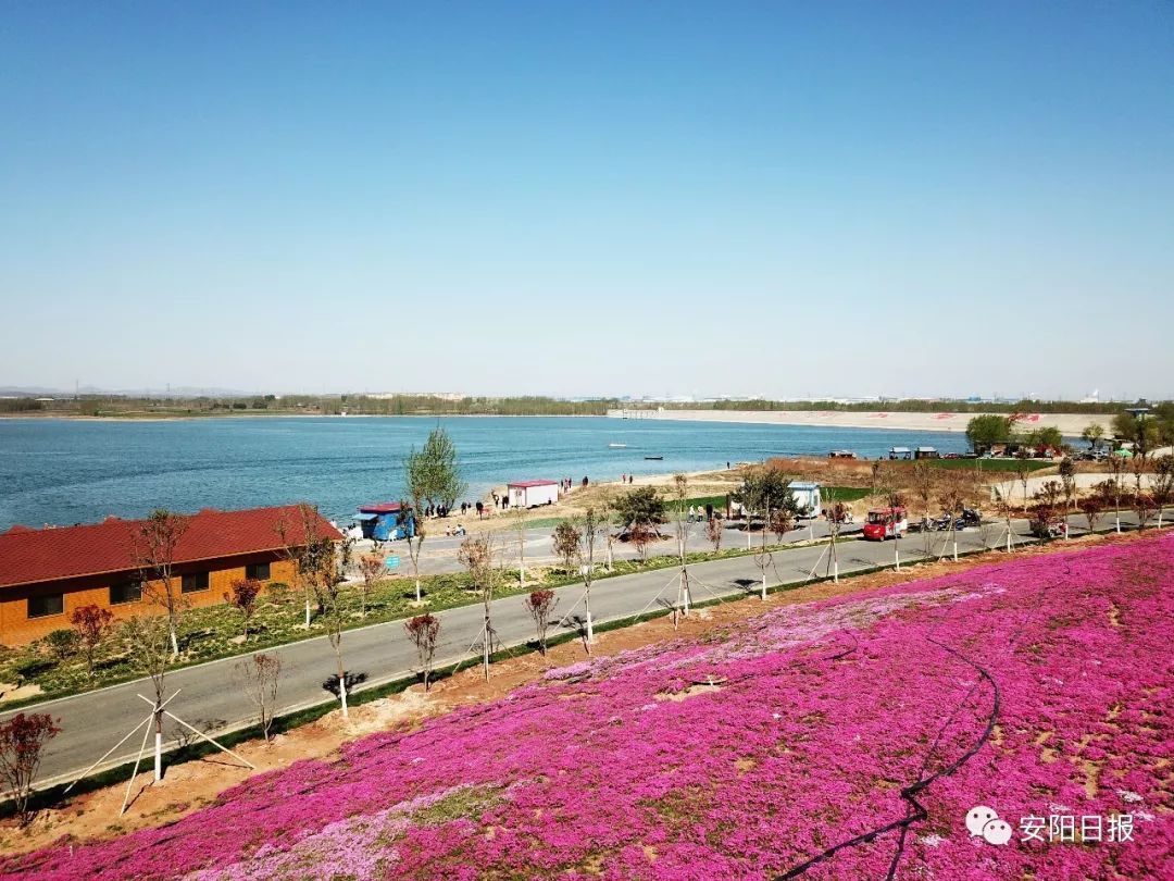 湯陰縣湯河國家溼地公園通過驗收:我國候鳥遷徙中線重要停歇驛站