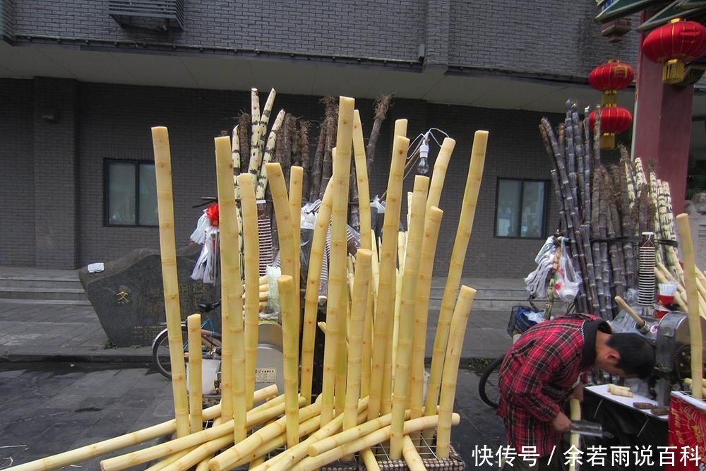  【愿意】价格一年比一年贵，1亩地可产8吨，不愁销路，但农民却