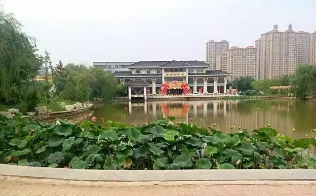 山东最穷的3个县级市，2个在德州，1个在聊城