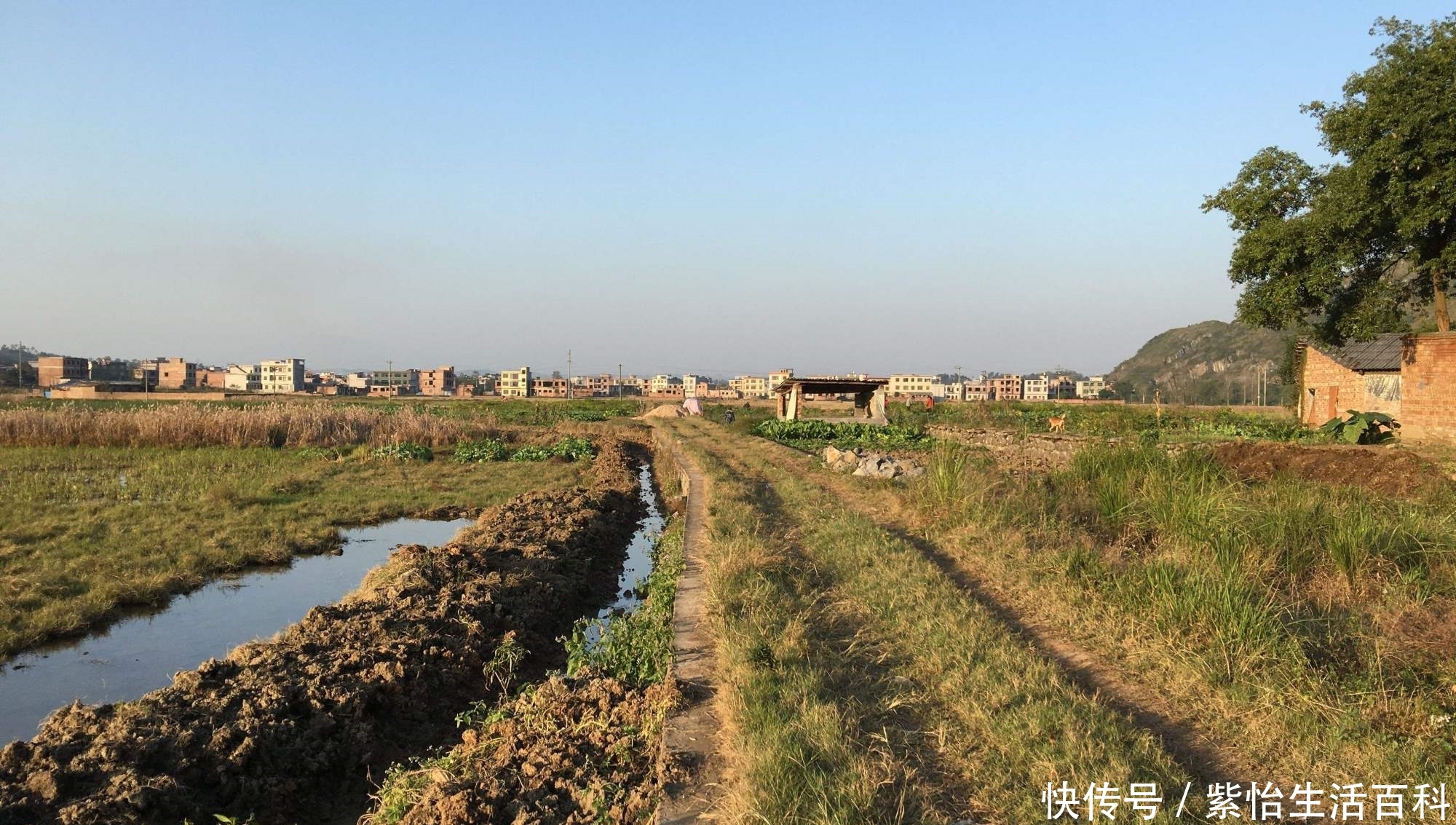 大事■未来三到五年内，这五件大事将影响农村，农民也会受到影