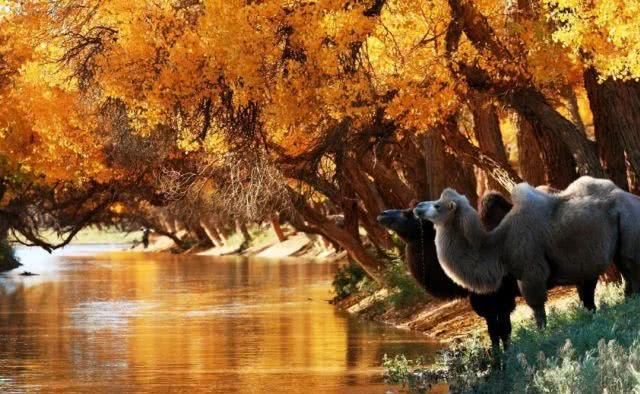 国内最值得去的99个地方，去过8个以上你就是超级旅行达人