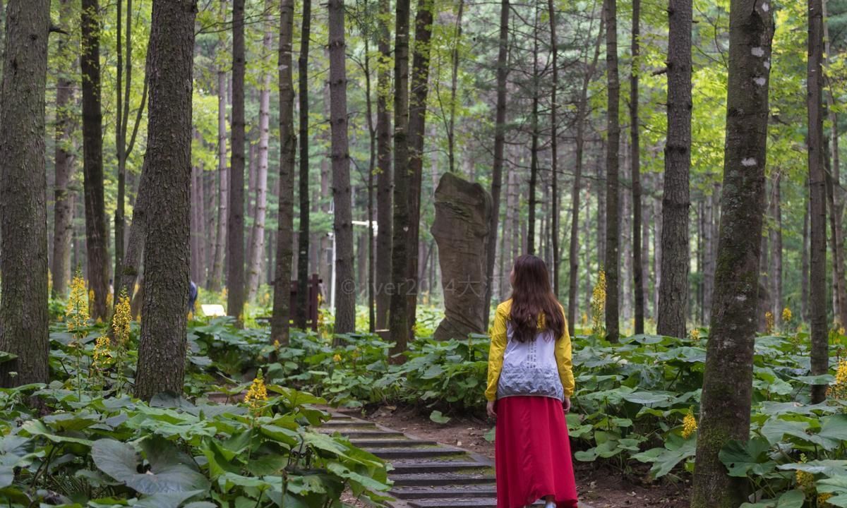 河南低调的5A景区，夏季平均气温18度，还是国家级森林公园