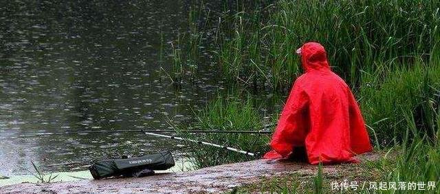  『水温降低』同样在下雨天钓鱼，为何别人收获很好，你却钓不到鱼！