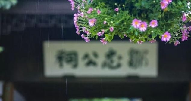 秋来伏未去，十首诗中觅清凉