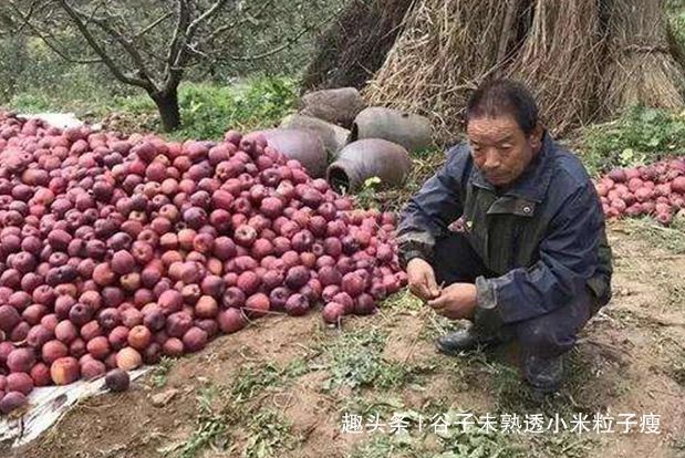  帮忙■一个月前已滞销，众多网帮忙销售，现在还没卖完，问题出