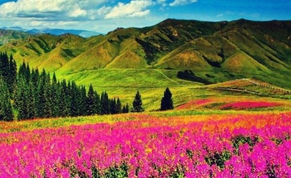 1998年中国政府成功收回了3万多公顷领土，如今没有几个人知道