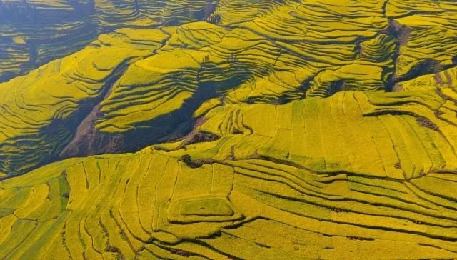 国内入春自驾游最美的地方！冷门但绝美，人迹稀少的最佳景点