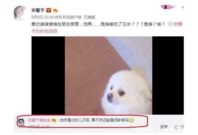 张馨予带爱犬在大街上疯狂跳舞，怀孕1个月的传闻不攻而破