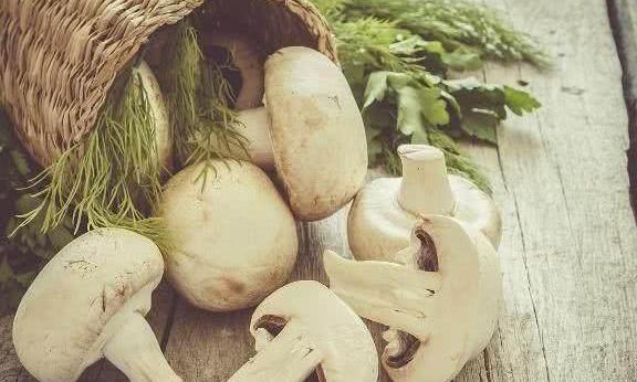 节食减肥很痛苦，三餐吃脂肪最怕的七种食物！一天瘦一斤没问题