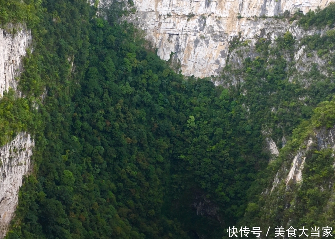 国内隐藏最深的天坑，其中竟有原始森林，形成原因却令人意外！