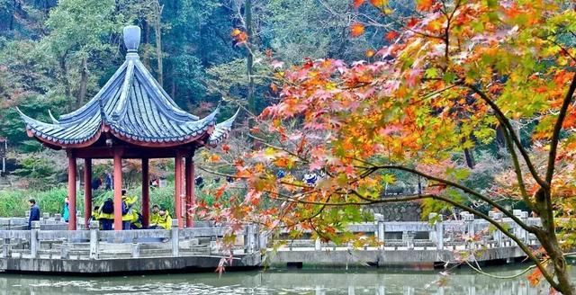 别老想着去日本拍红叶，中国这些地方的红叶也很好看