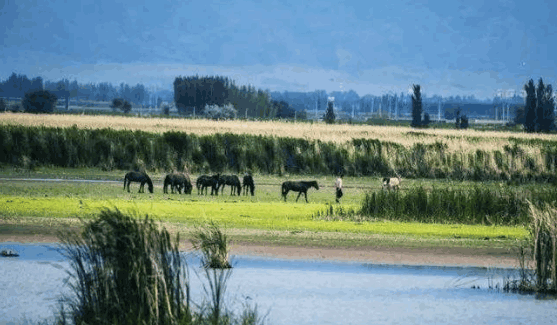 沙漠被中国感动天然形成6000亩湖泊助力治沙，自然的馈赠