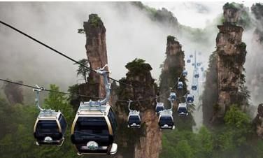  神兽：张家界的“守护神兽”，全世界最大的大鲵，现如今已经200