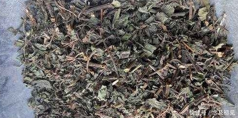 农村一种常见野草，以前连猪也不吃，不过现在发现是一种珍贵中药