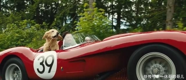 痛苦@在家宅着很痛苦?春节必看20部佳片速拿走