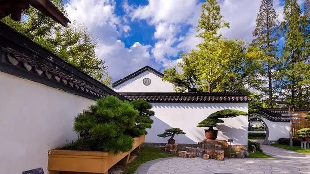 国内最大的专类盆景园,江南园林海派风格美不胜收