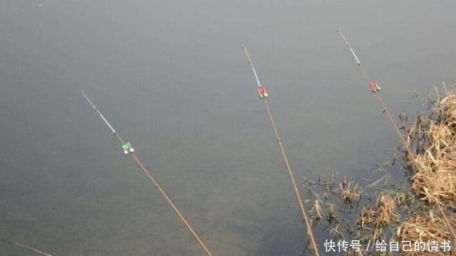 「钓法」五月了,大板鲫只需照我说的钓,不吹不黑,鱼护爆满那都不是事