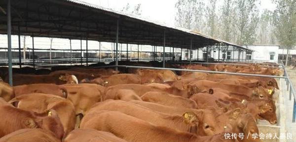 农民好消息！这4项补贴，将直接发到卡上，1分钱都不会少！