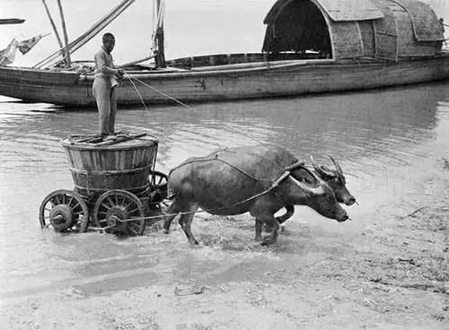 美国一位研究中国的学者，无意中在家里翻出来6000张中国老照片