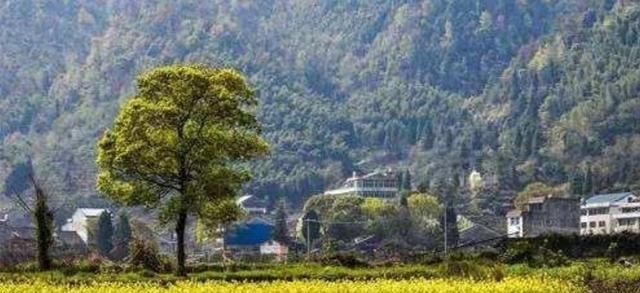  #将要#2020年，这三种村庄将要搬迁。 看看你家