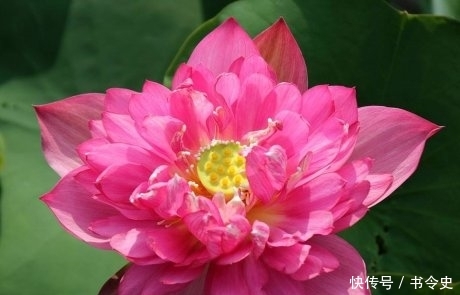 『动容』“最不显老”的3个生肖女,五官精致身材高挑,更令男生动容!