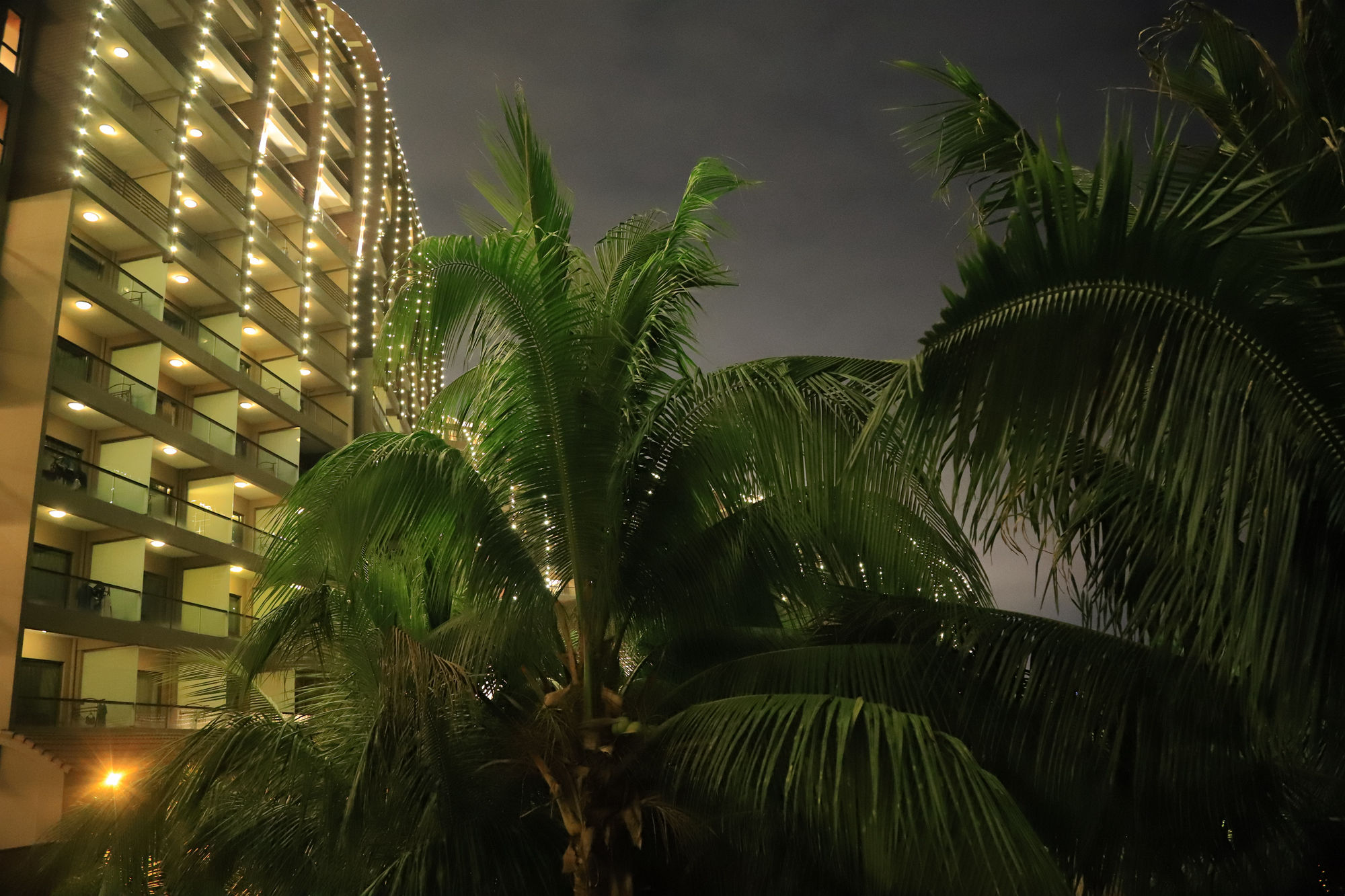 【遇上一座城】请到天涯海角来，一起去看比基尼大长腿的三亚微游