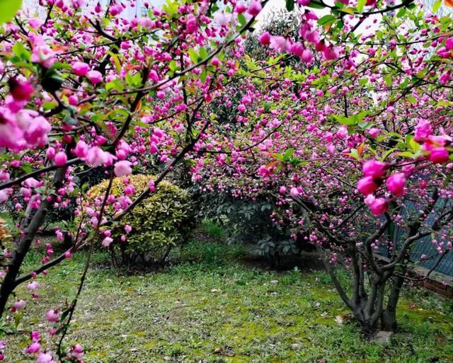 四月芳菲，春意浓