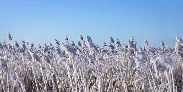 9月你好，柳永这首词，写尽秋天之美，开篇更是能让人爱上秋天