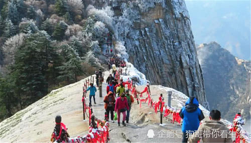 这个景区矿泉水一瓶十一元，游客却抢着买！知道真相沉默了