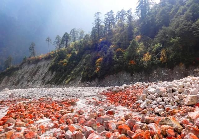 这才是四川最美7大景点，景美人还少，去过5个的都是老司机！