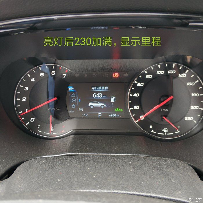 老司机看不了了啊