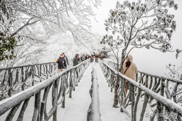 赞!张家界春节收入18亿，春雪正美，再不来要后悔了!