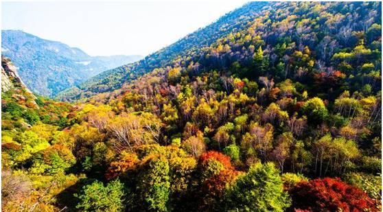 秋日里,山西20处绝美赏秋胜地美的像仙境