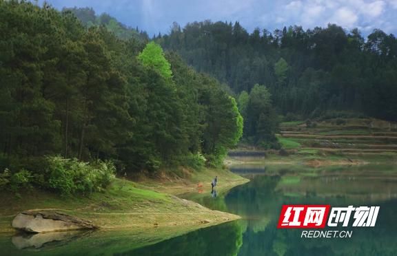 隆回:一条禁伐“红线”3年多划出3075亩“绿地”