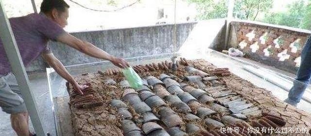 农村大叔4平米土圪梁上搞特殊养殖，年入50万！