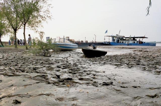 黄河水量创新高，钓友和农民却犯愁！不能钓鱼，也无法浇地