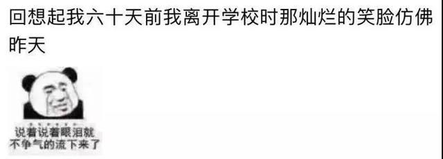 为什么会有情侣一去迪士尼就分手的说法？背后真相令人深思……