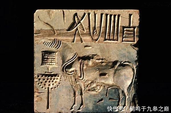 地图看世界;四条大河,四个古文明