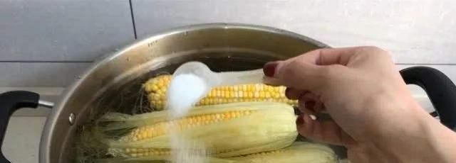 才能让玉米■煮玉米时,别只会用清水了,可以加点“它”玉米就会更好吃!